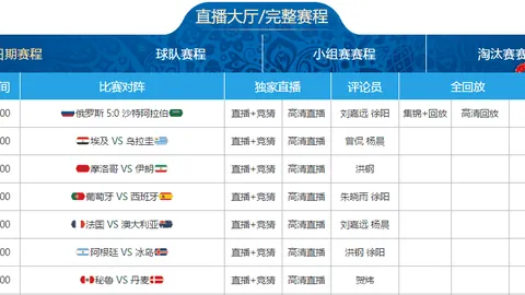 逆境转机，明年展望充满希望与挑战