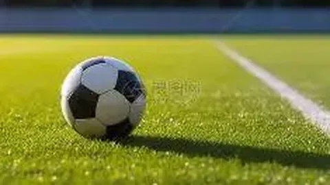 “羽坛盛事！亚洲羽毛球锦标赛名单揭晓，“凡尘”组合重聚赛场3月26日激战23：35”